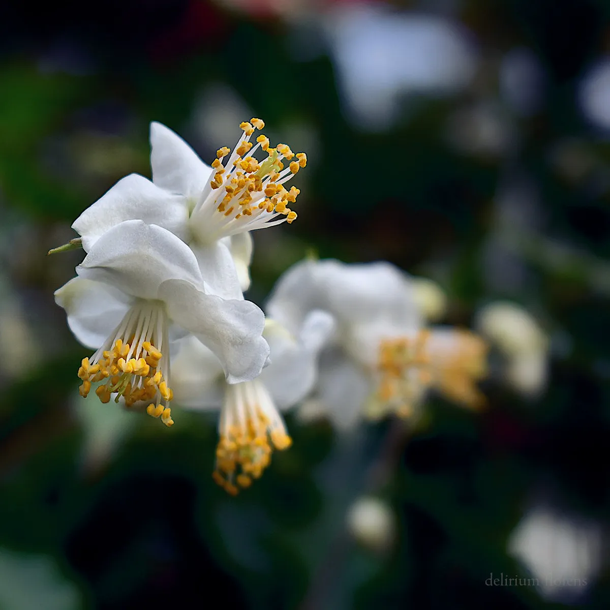 Brno's Best Hidden Bars: Discover Secret Sips in 2025