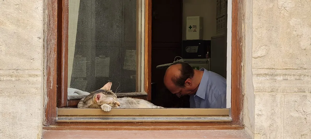 Discover Bucharest's Secret Courtyards in 2025