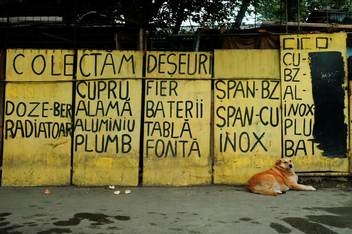 Bucharest Street Art Tour: Explore Urban Murals 2025