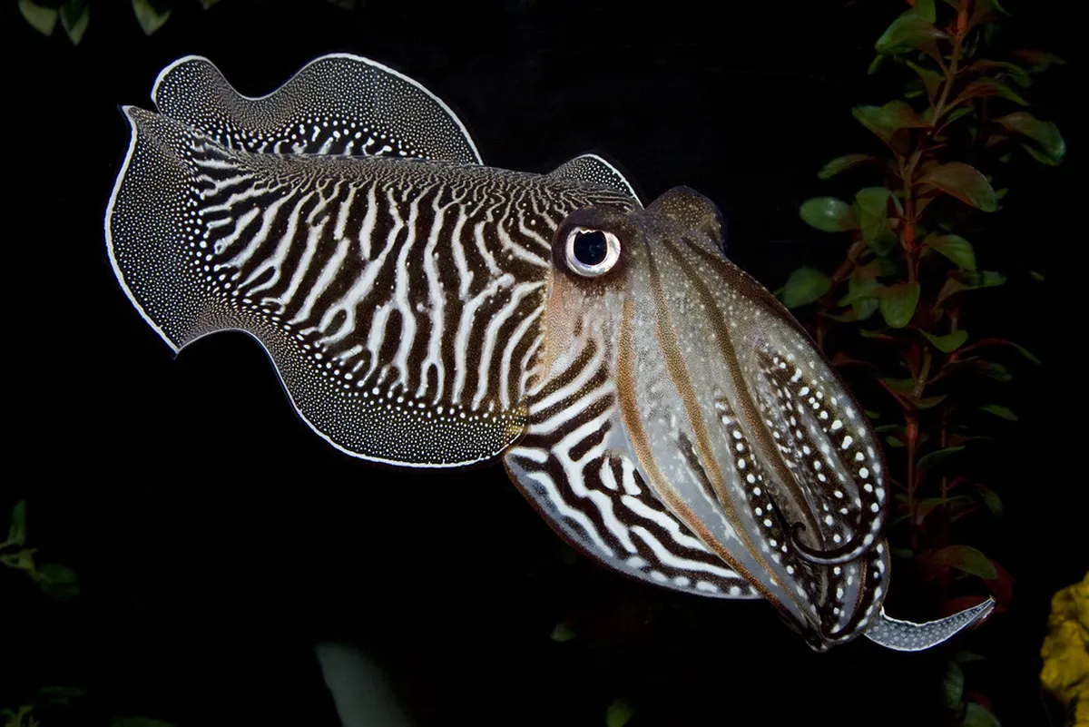 Karlovy Vary's Budget Hidden Gems: Explore Affordably in 2025