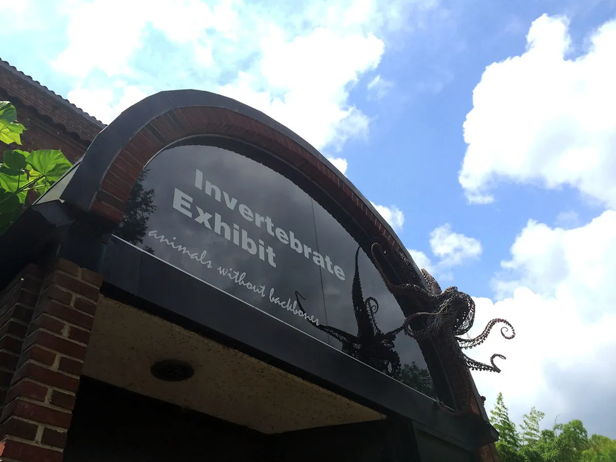 Discover Budget Hidden Gems in Stavanger 2025