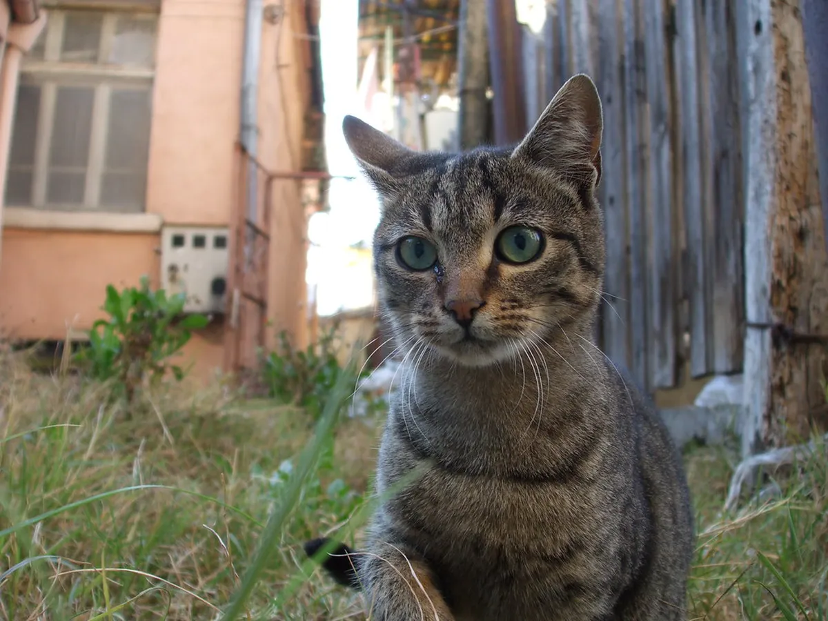 Burgas Locals' Favorite Spots: Your Insider Travel Guide for 2025