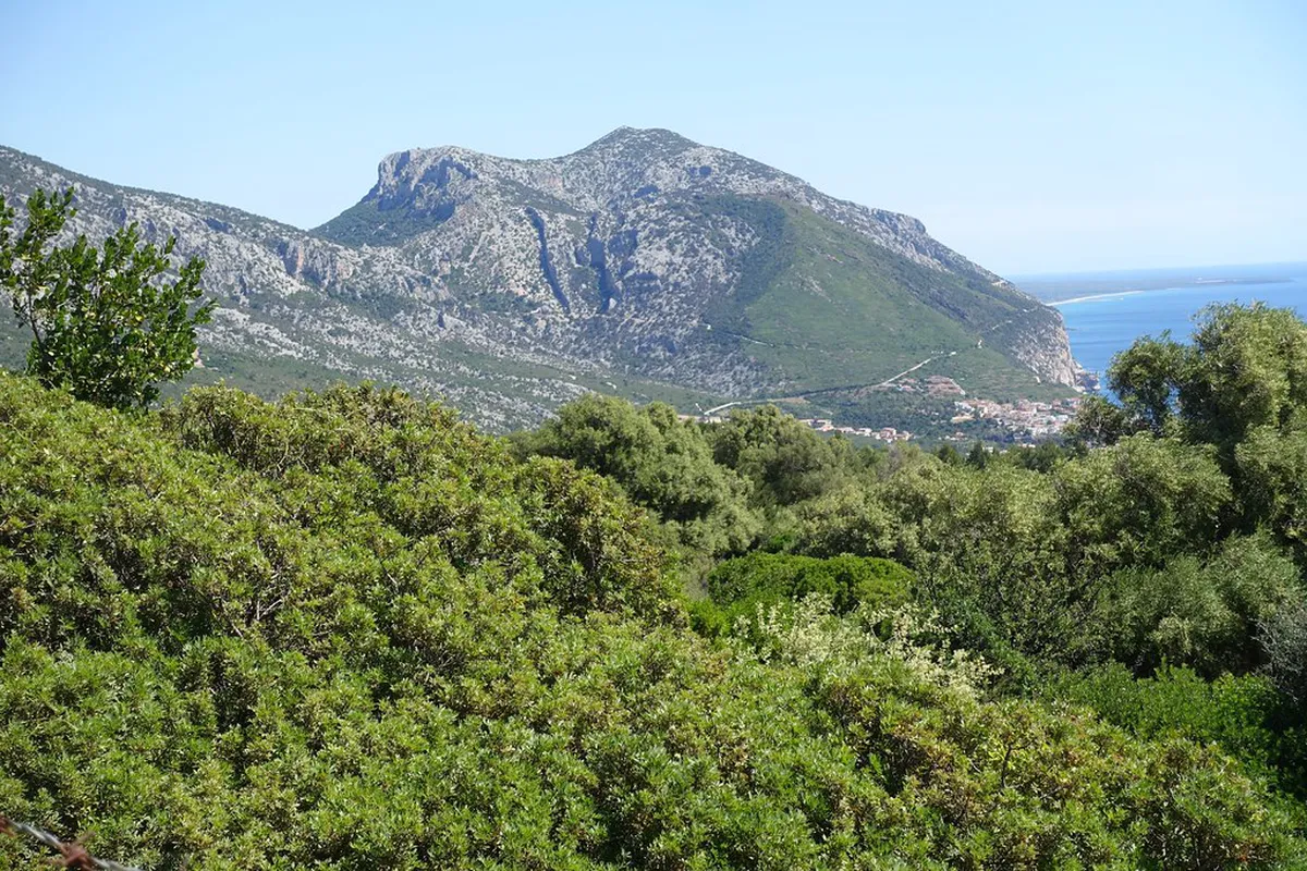 Discover Unseen Sardinia: Cala Gonone Off-Road Tours in 2025