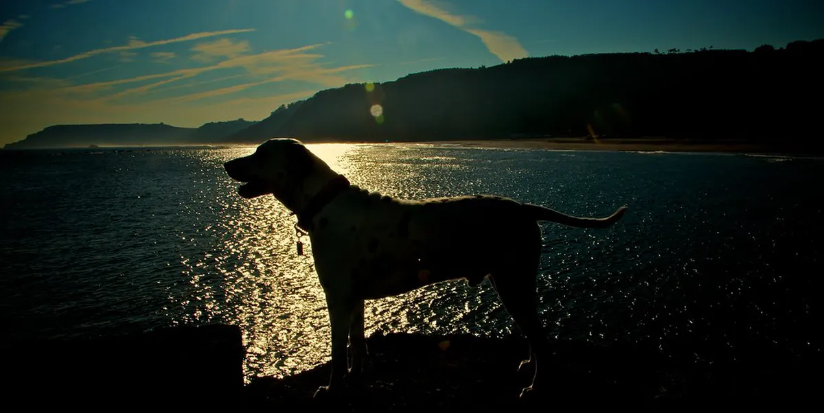 Discover Cannes Hidden Gems: Your Ultimate 2025 Guide