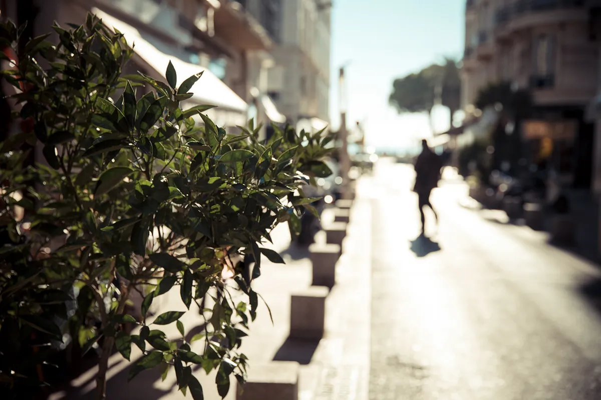 Cannes Hidden Viewpoints: Your Guide to Secret Vistas