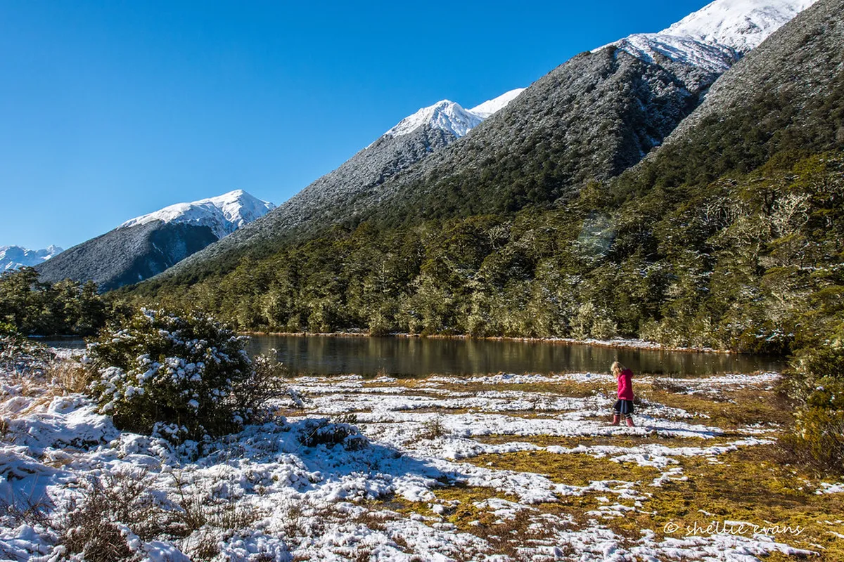 Canterbury Alternative Tours: Uncover Hidden Gems in 2025