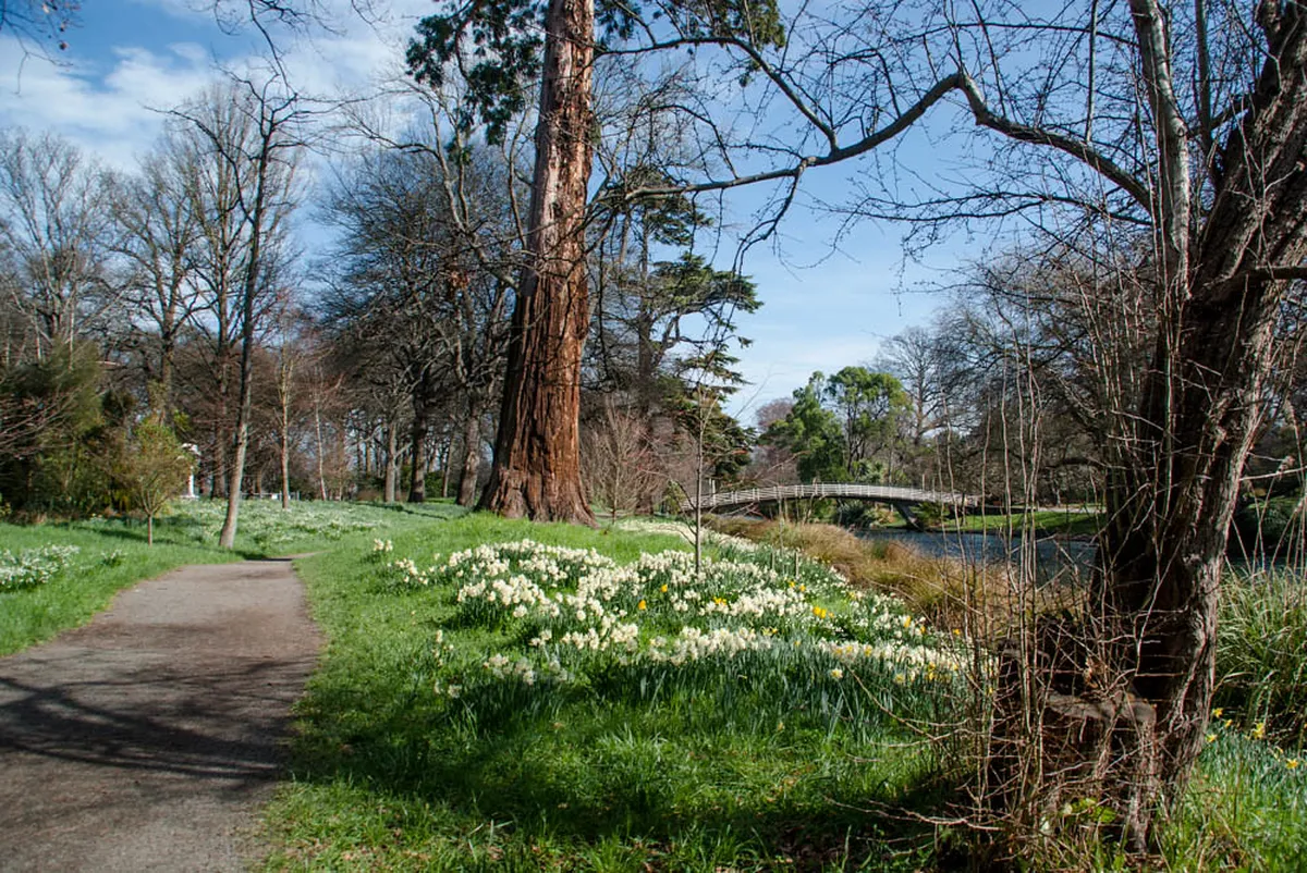 Canterbury Unusual Attractions: Explore Hidden Gems in 2025