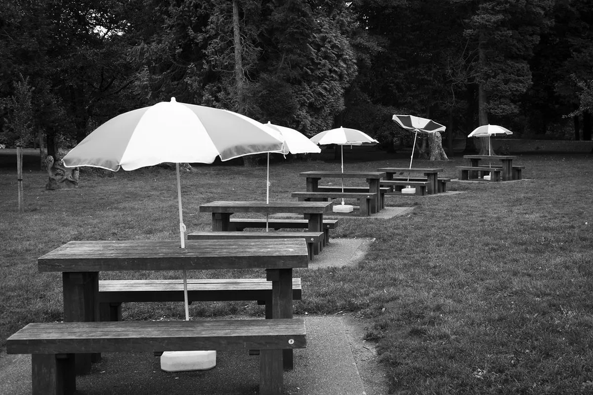 Unveiling Cardiff's Secret Gardens: Hidden Green Oases for 2025