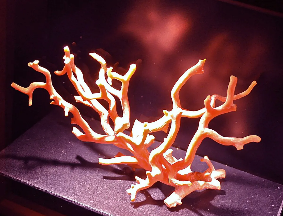 Your Ultimate Catania Street Art Guide for 2025