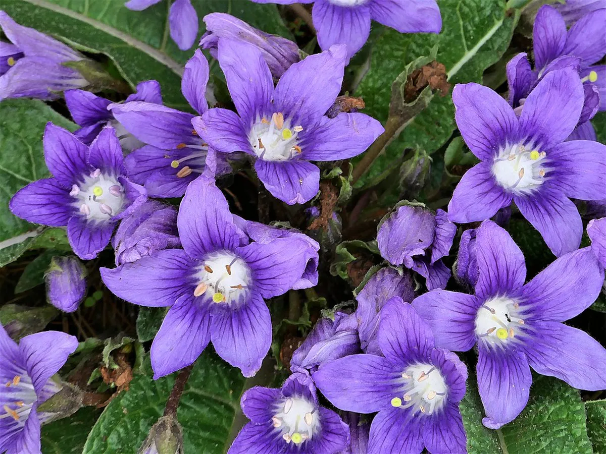 Discover Cefalù's Unknown Hiking Trails: A 2025 Guide