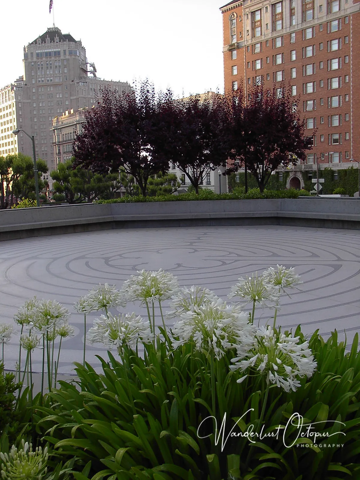 Discover Chartres' Quiet Walking Routes in 2025