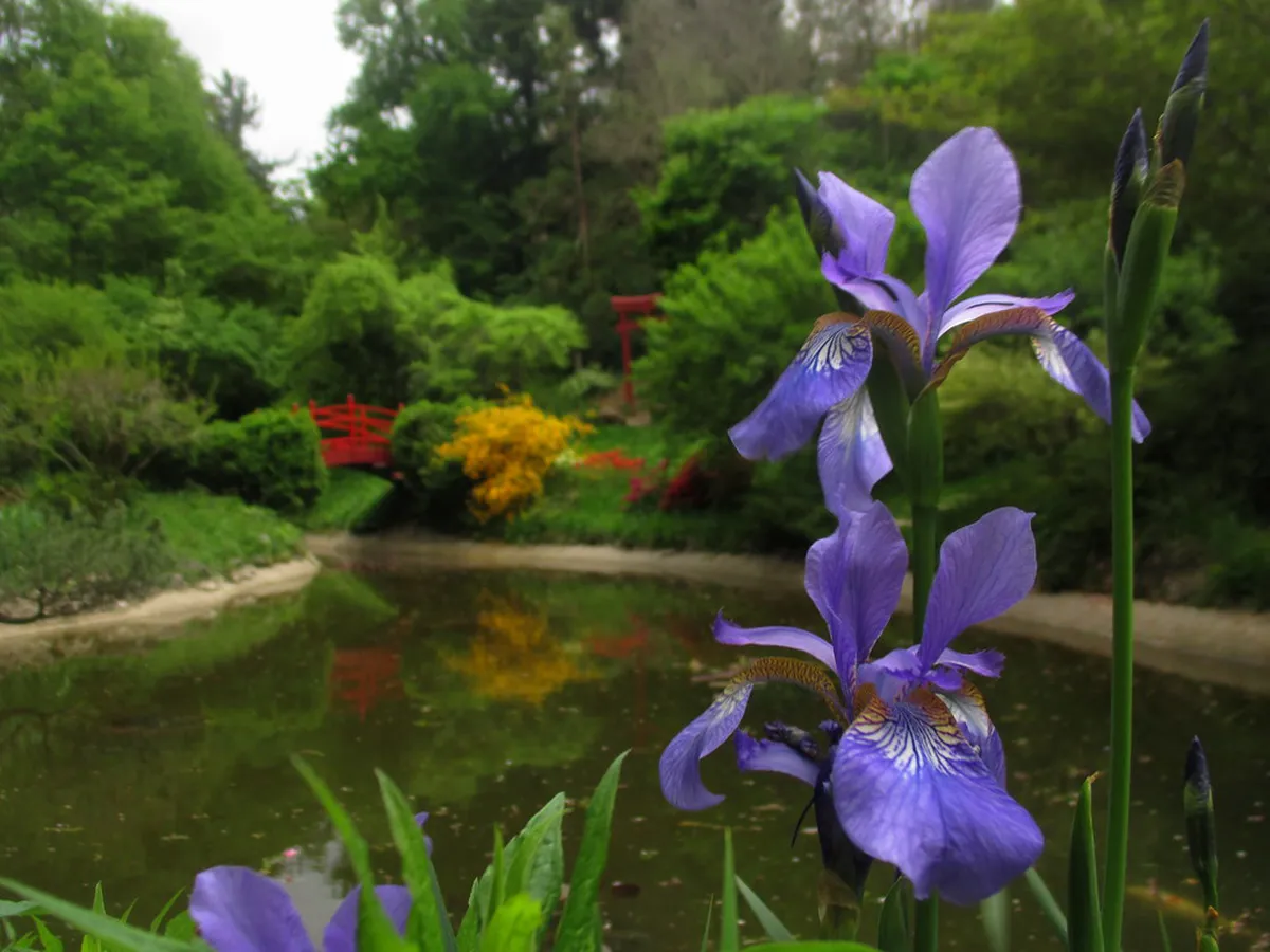 Best Cluj-Napoca Local Workshop Experiences for 2025