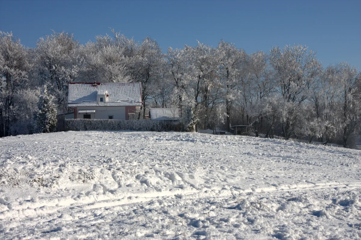 Discover Cluj-Napoca's Secret Courtyards in 2025
