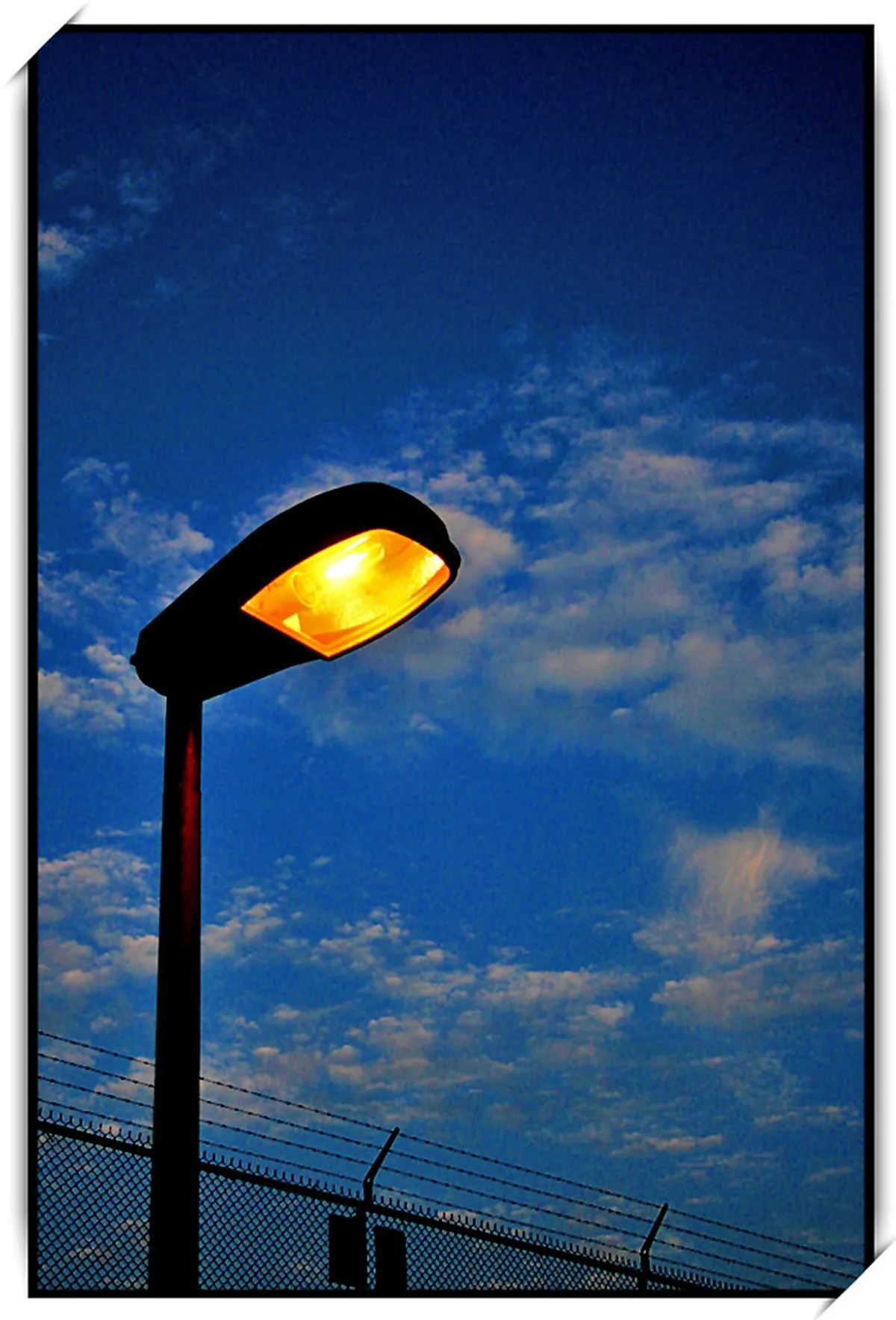 Discover Cologne's Secret Bars: Hidden Gems for 2025