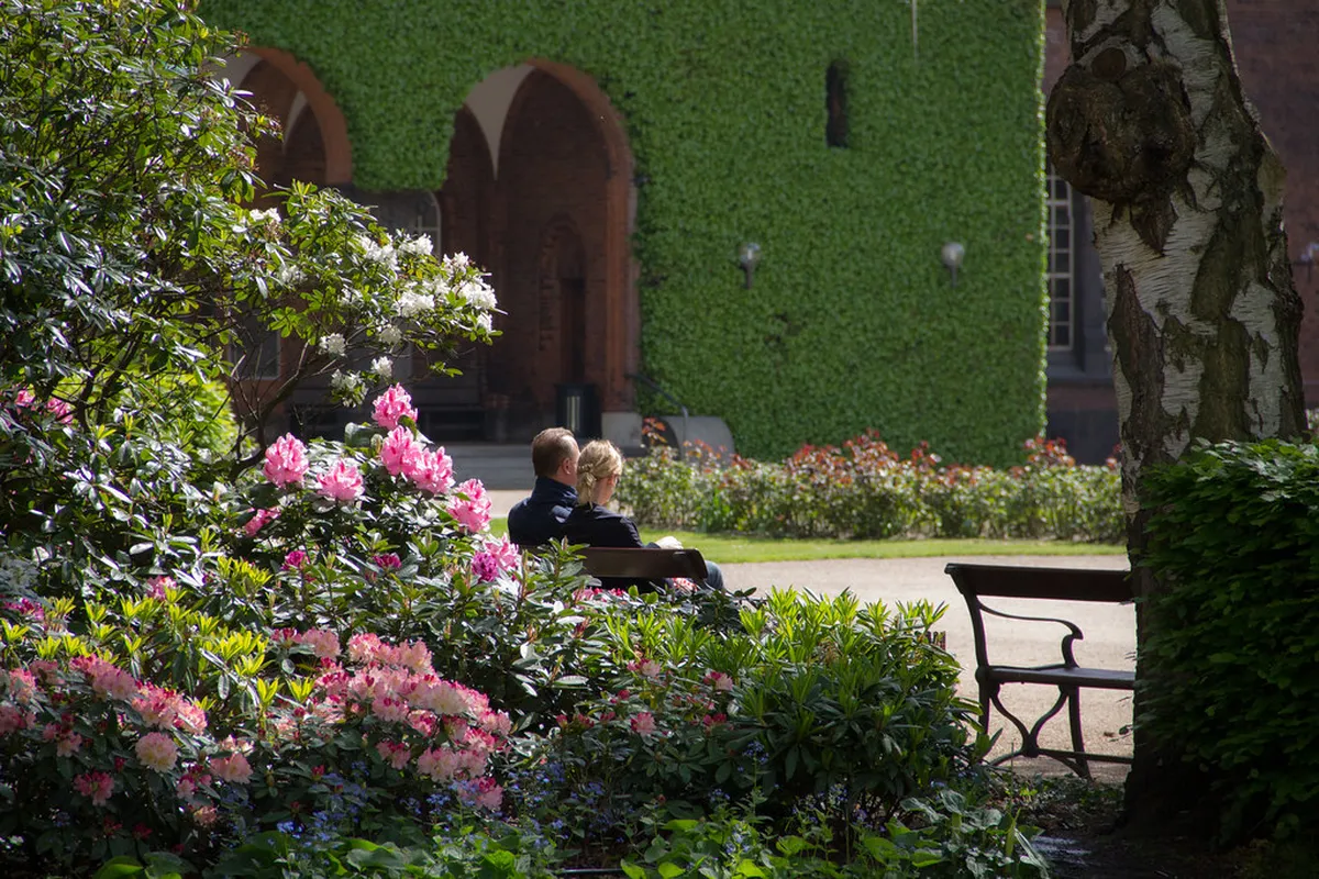 Discover Copenhagen's Secret Courtyards in 2025