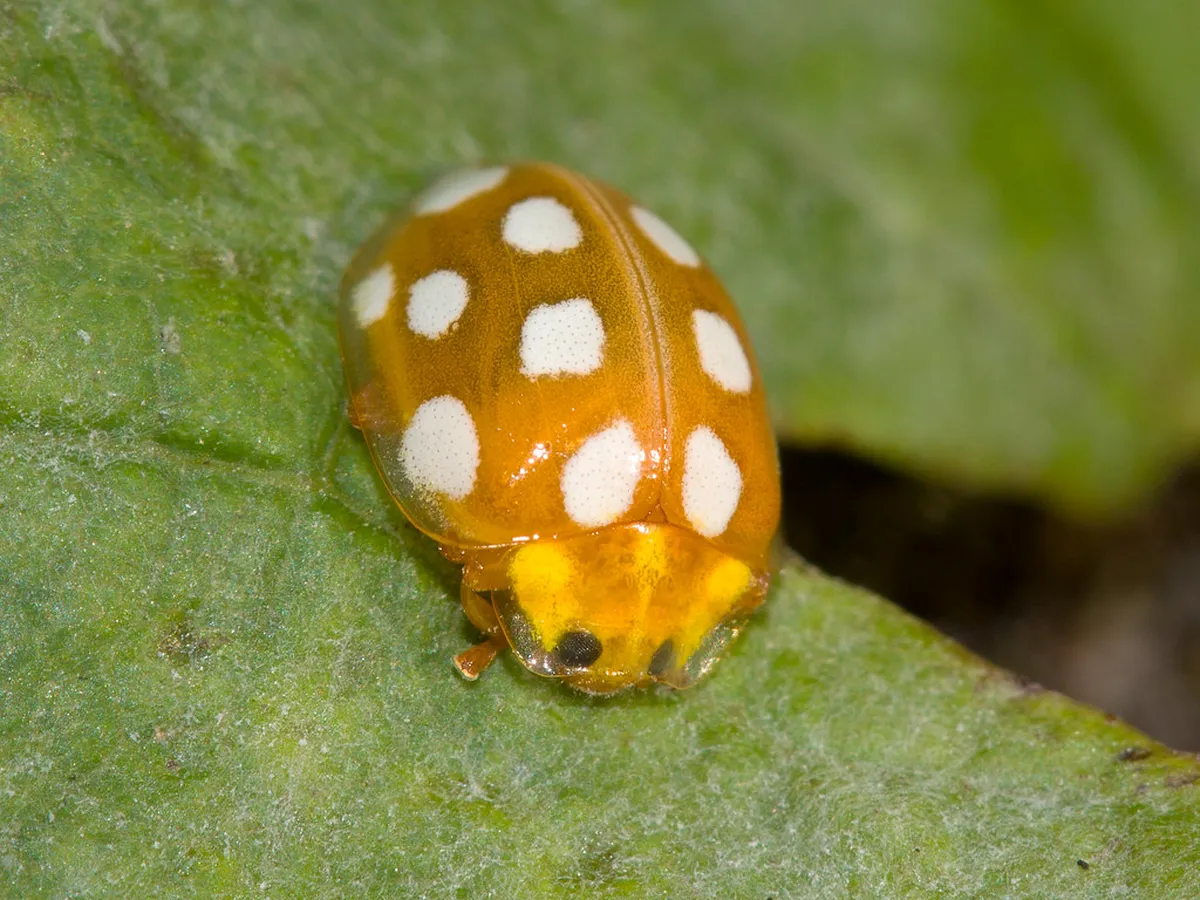 Top Cork City Photo Spots for Stunning 2025 Memories
