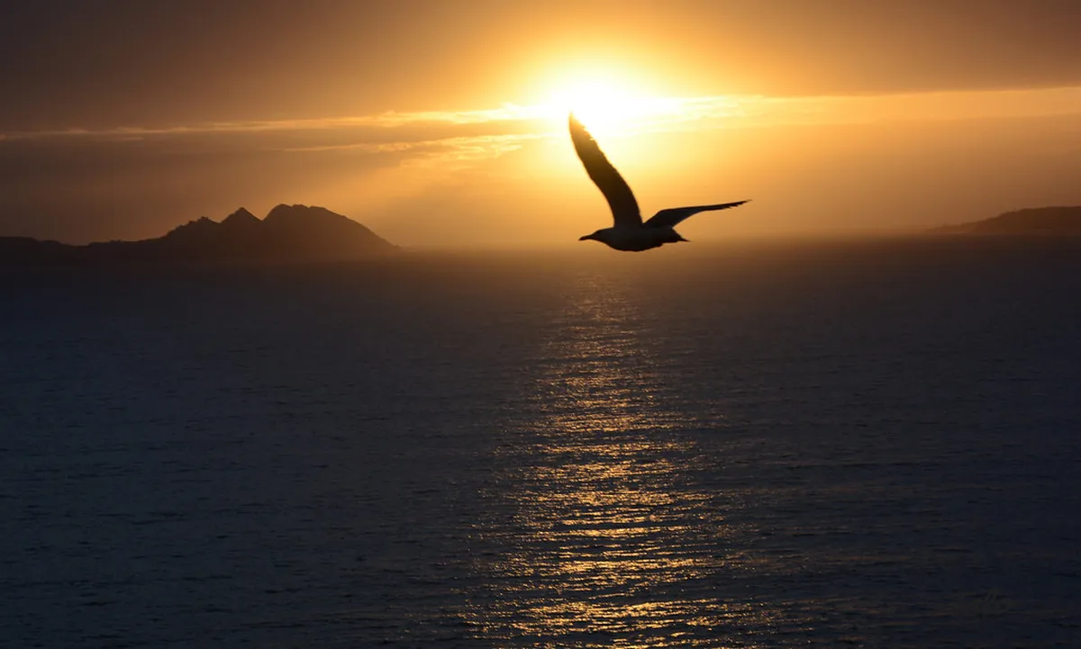 Den Bosch Free Hidden Spots: Explore Secret Gems in 2025