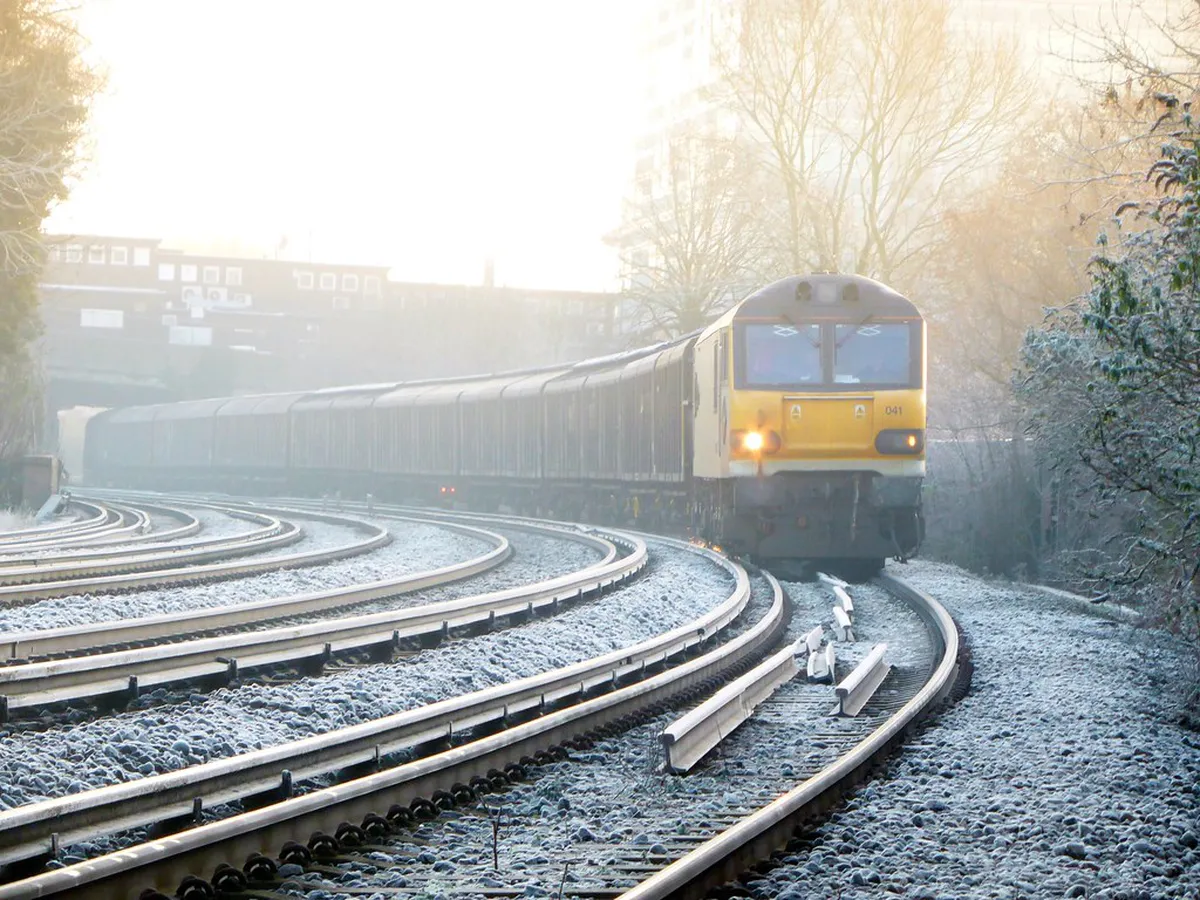 Dijon's Best Non-Touristy Activities for 2025 Explorers