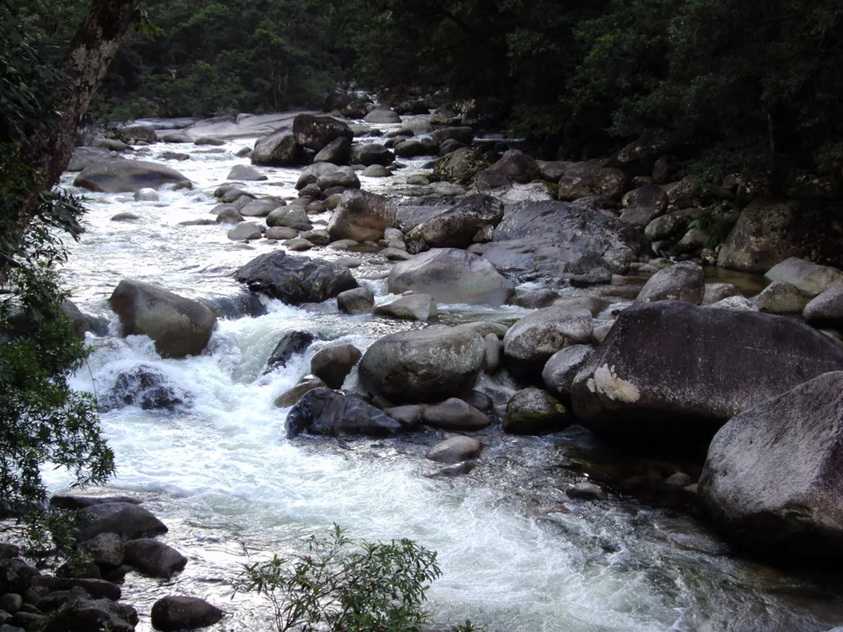 Discover Whitby Forgotten History: A Guide for 2025