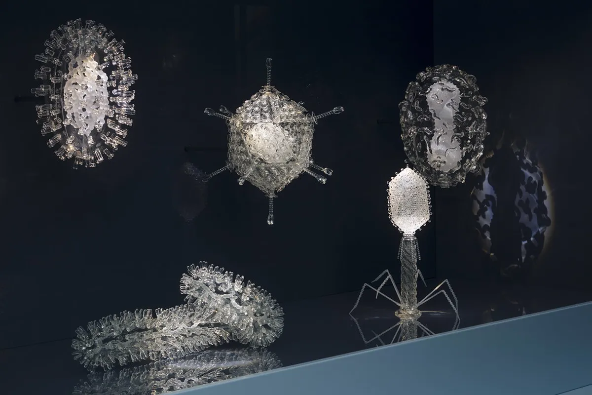 Dresden Authentic Local Pubs: Your Ultimate 2025 Guide