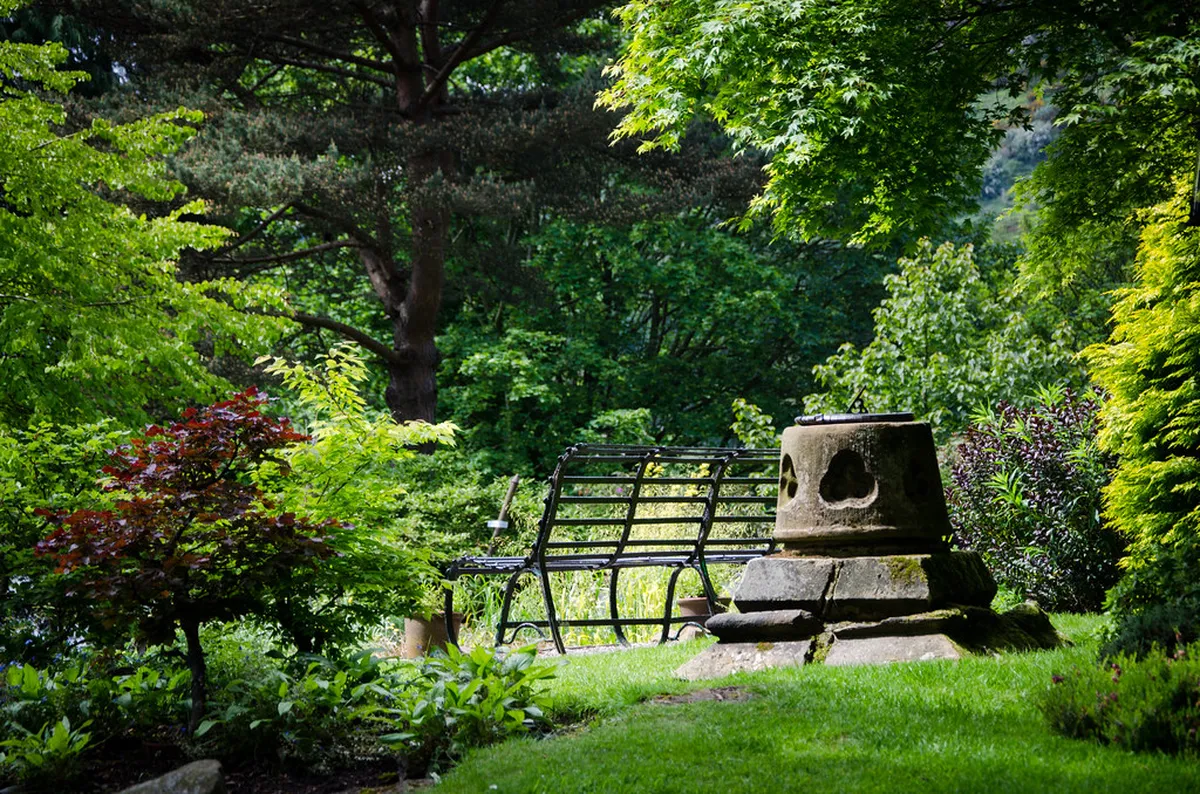 Edinburgh's Secret Gardens: Hidden Oases to Discover in 2025