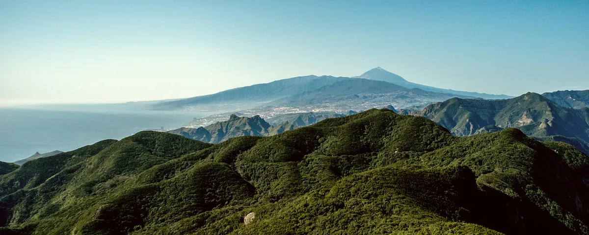 Explore El Puerto Historical Sites in 2025