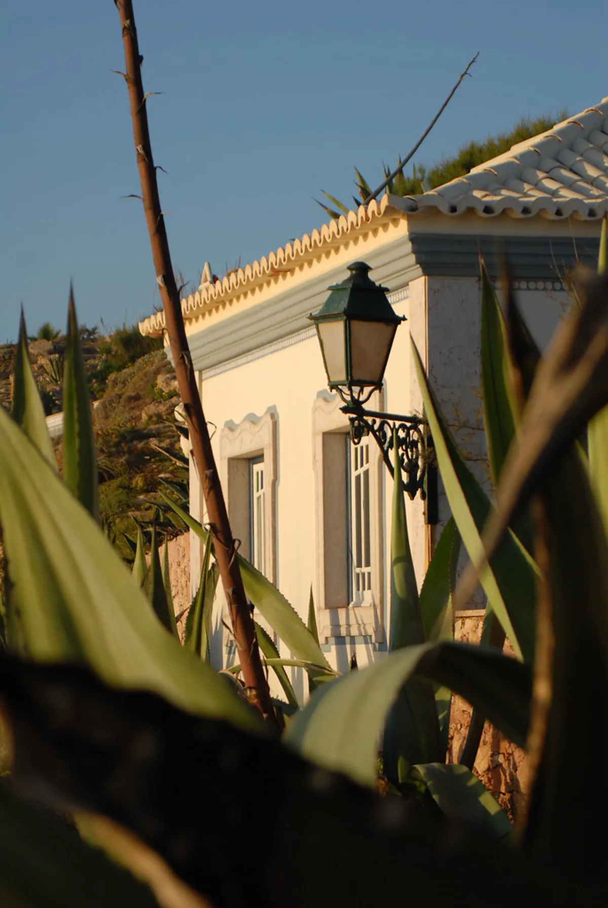 Ericeira Hidden Hiking Trails: 2025 Explorer's Guide