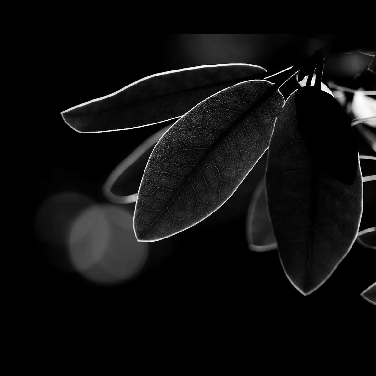 Uncover Dortmund's Secrets: Explore Dortmund Backstreets Tour