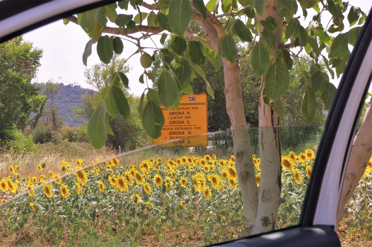 Explore Dénia Quiet Coves: Your Guide to Secluded Beaches