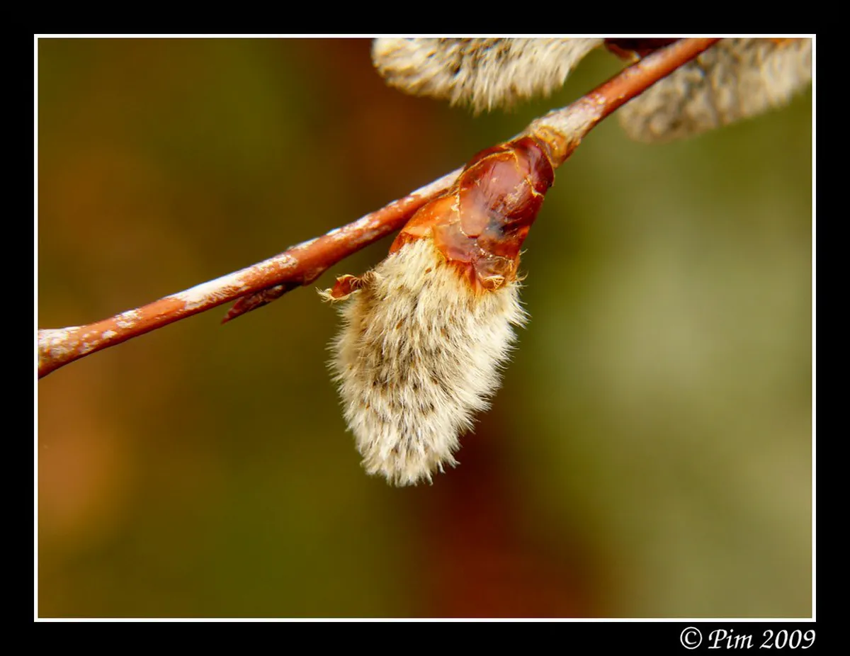 Explore Fontainebleau Hidden Caves in 2025: A Full Guide