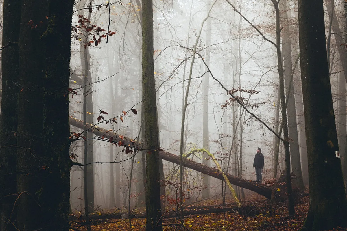 Discover Olomouc Less Traveled: Hidden Gems for 2025