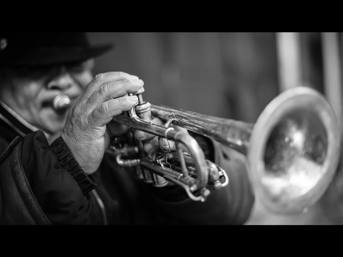 Explore Udine Secret Gardens: Your 2025 Hidden Guide