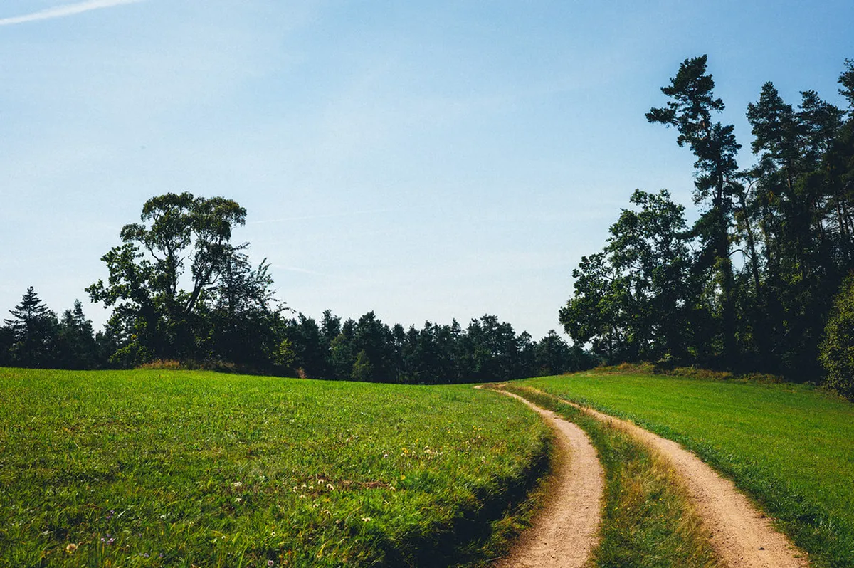 Explore Unknown Jerez Neighborhoods: A 2025 Local Guide