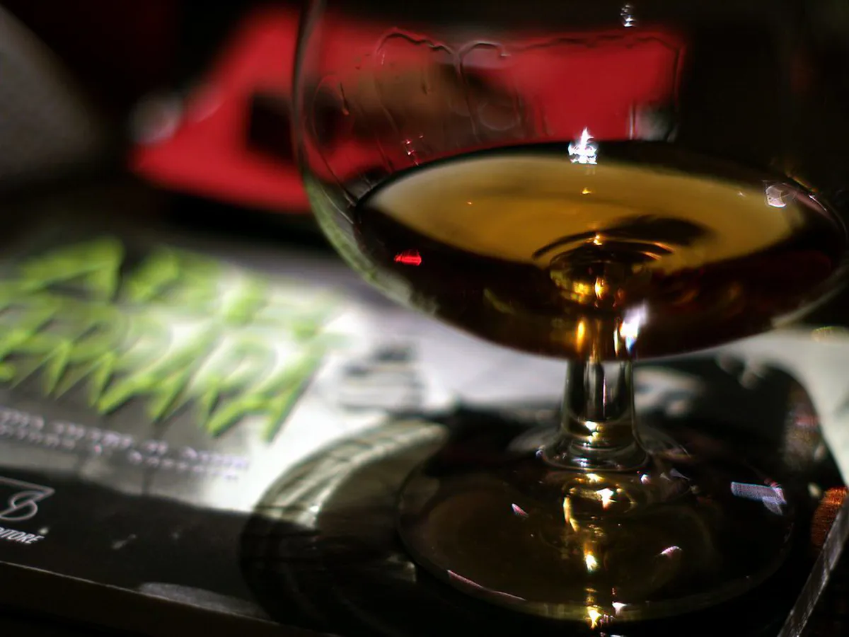 Ferrara Local Wine Experiences: Top Tours & Tastings 2025