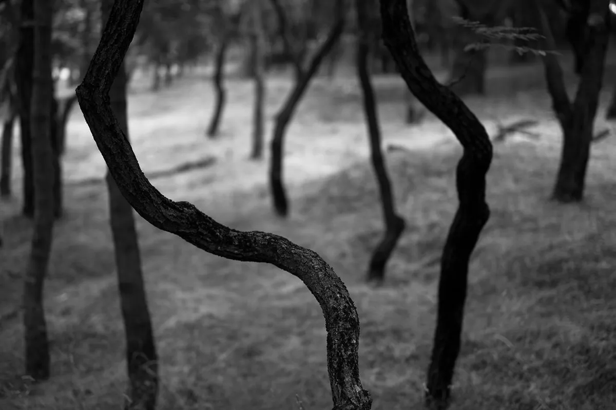 Find Tbilisi Hidden Places: Your 2025 Secret Guide