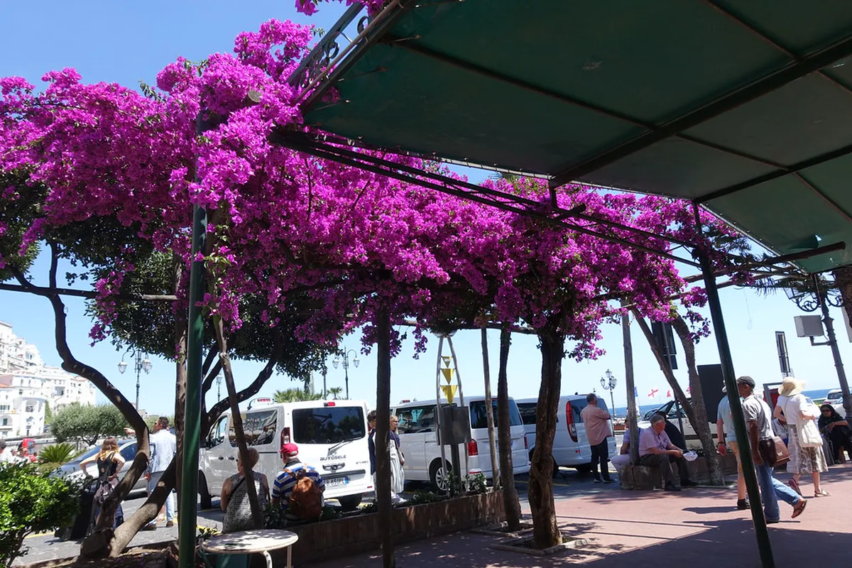 Finding Amalfi Secluded Spots: Your 2025 Guide