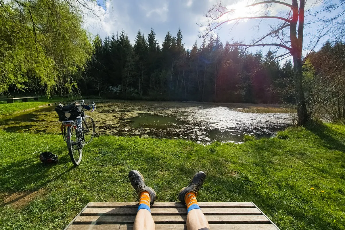 Colmar Local Markets: Your Guide to Finding Fresh Finds