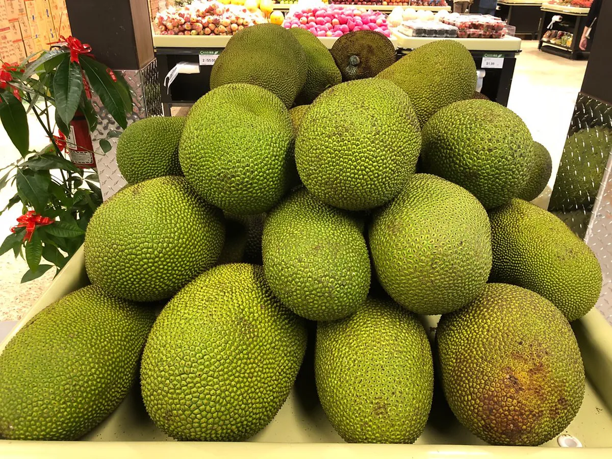 Finding Orta San Giulio Views: Top Spots for 2025