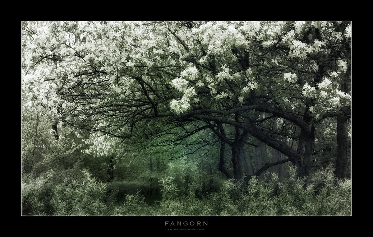 Finding Secret Faro Beaches: Your 2025 Secluded Guide