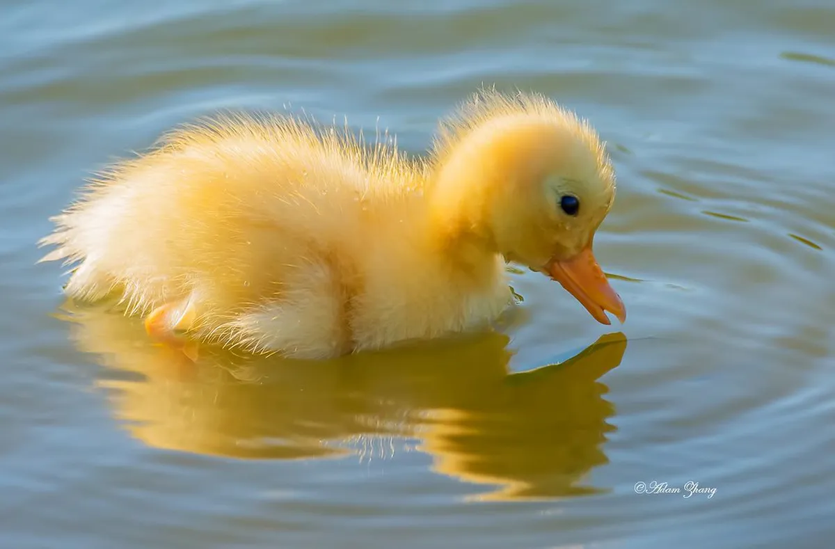 Ålesund Hidden Spots: Uncover Norway's Secret Gems