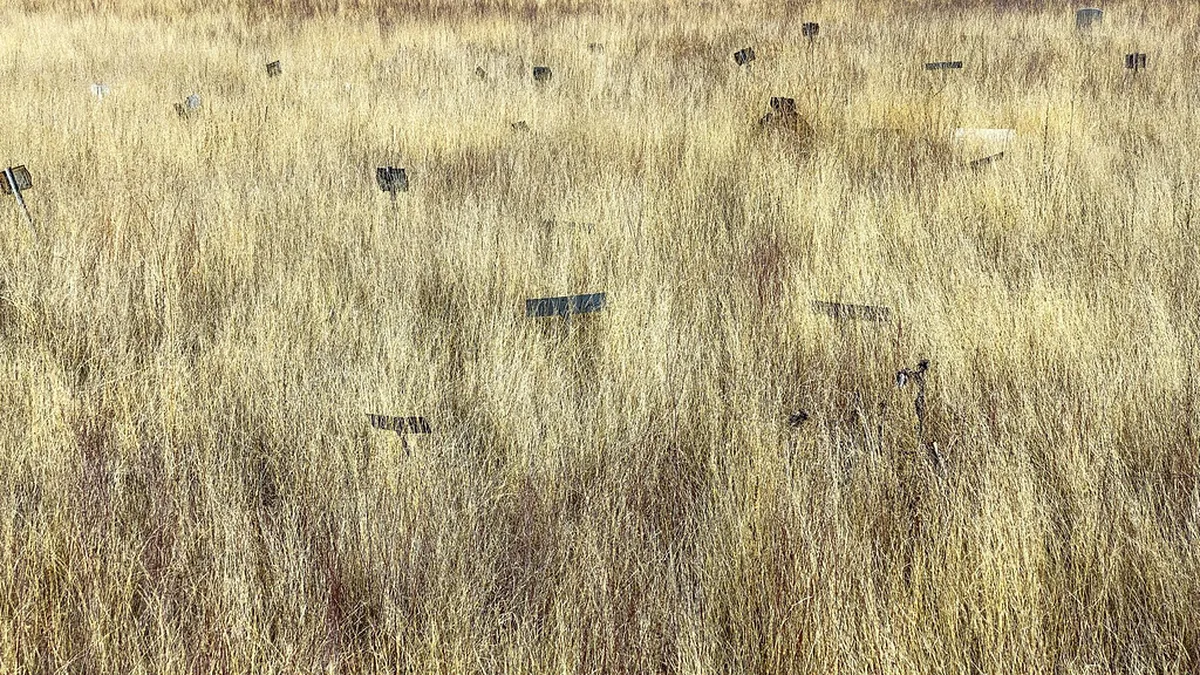 Forgotten Passau History Sites: Uncover Ancient Secrets