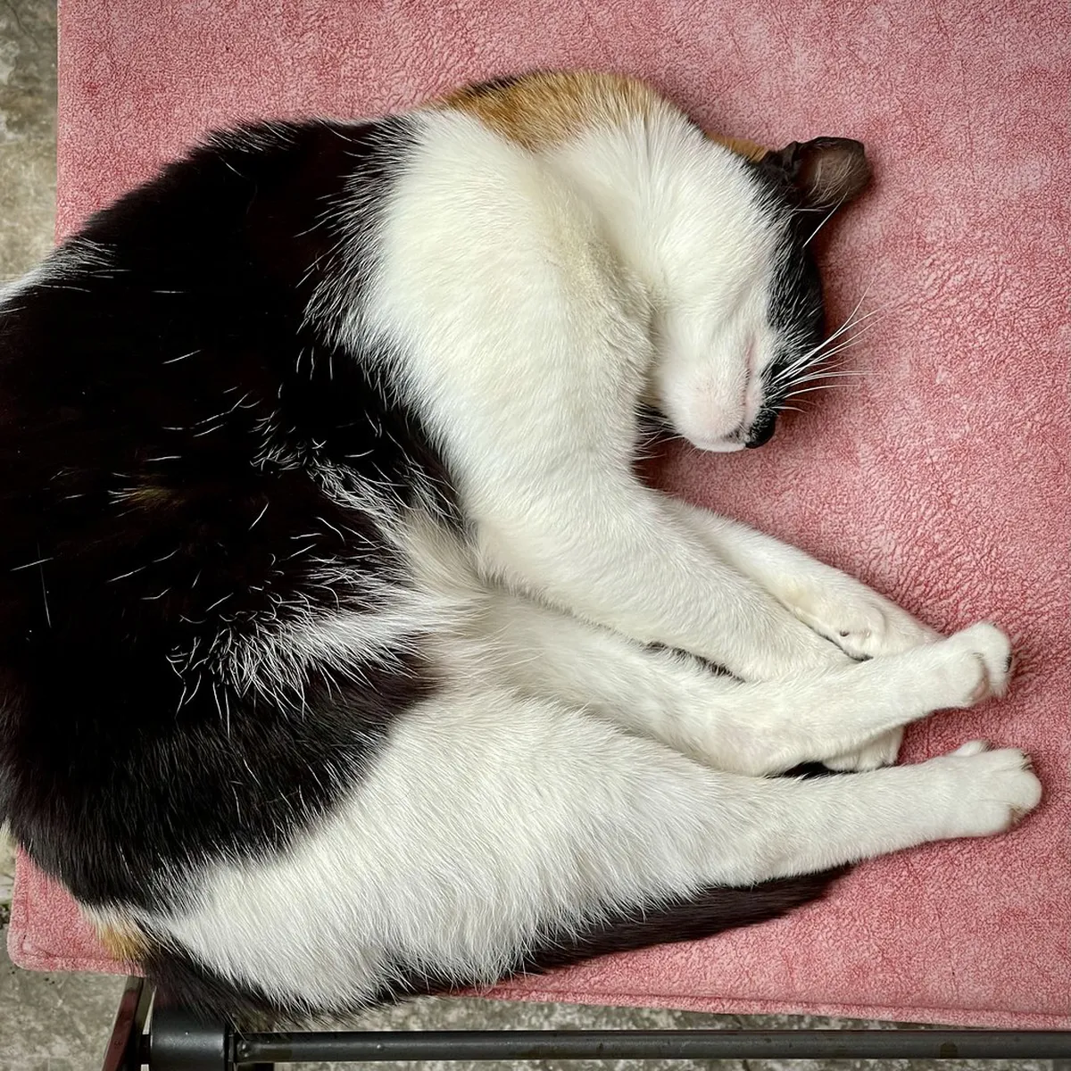 Discover Free Dubrovnik Hidden Attractions in 2025