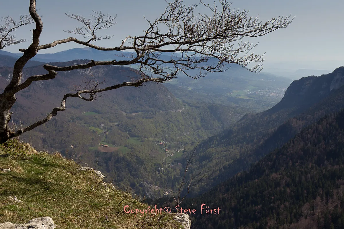 Discover Free Neuchâtel Hidden Activities: Your 2025 Guide