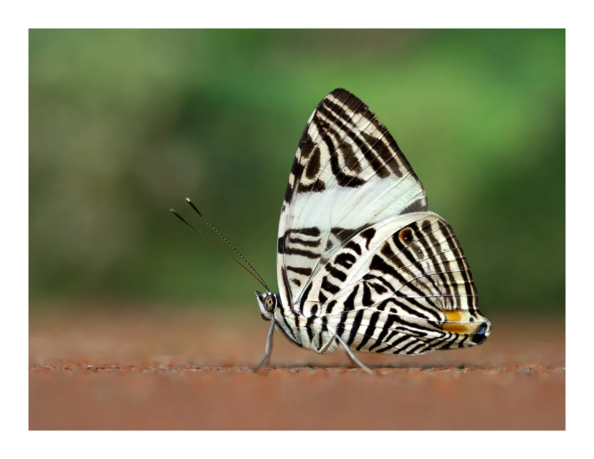 Top Free Stratford-upon-Avon Activities for 2025