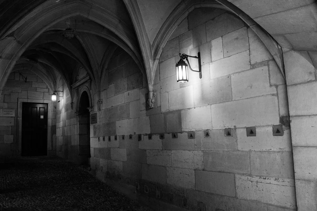 Geneva Hidden Eateries Guide: Best Secret Restaurants 2025