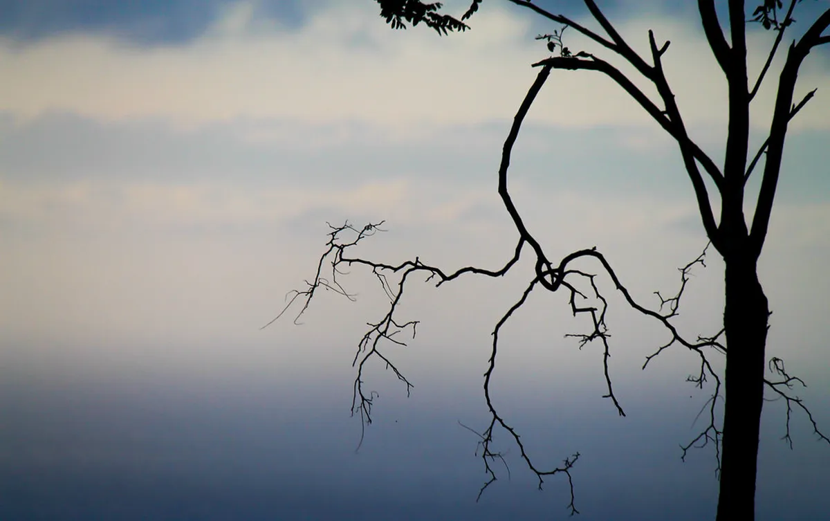 Discovering Grado's Hidden Gems: Your 2025 Guide