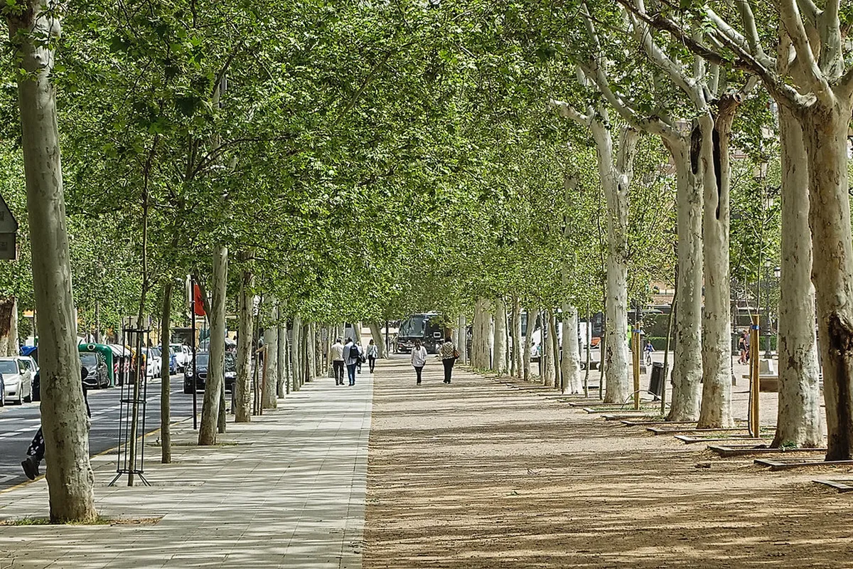 Granada Secret Viewpoints 2025: Uncover Hidden Gems