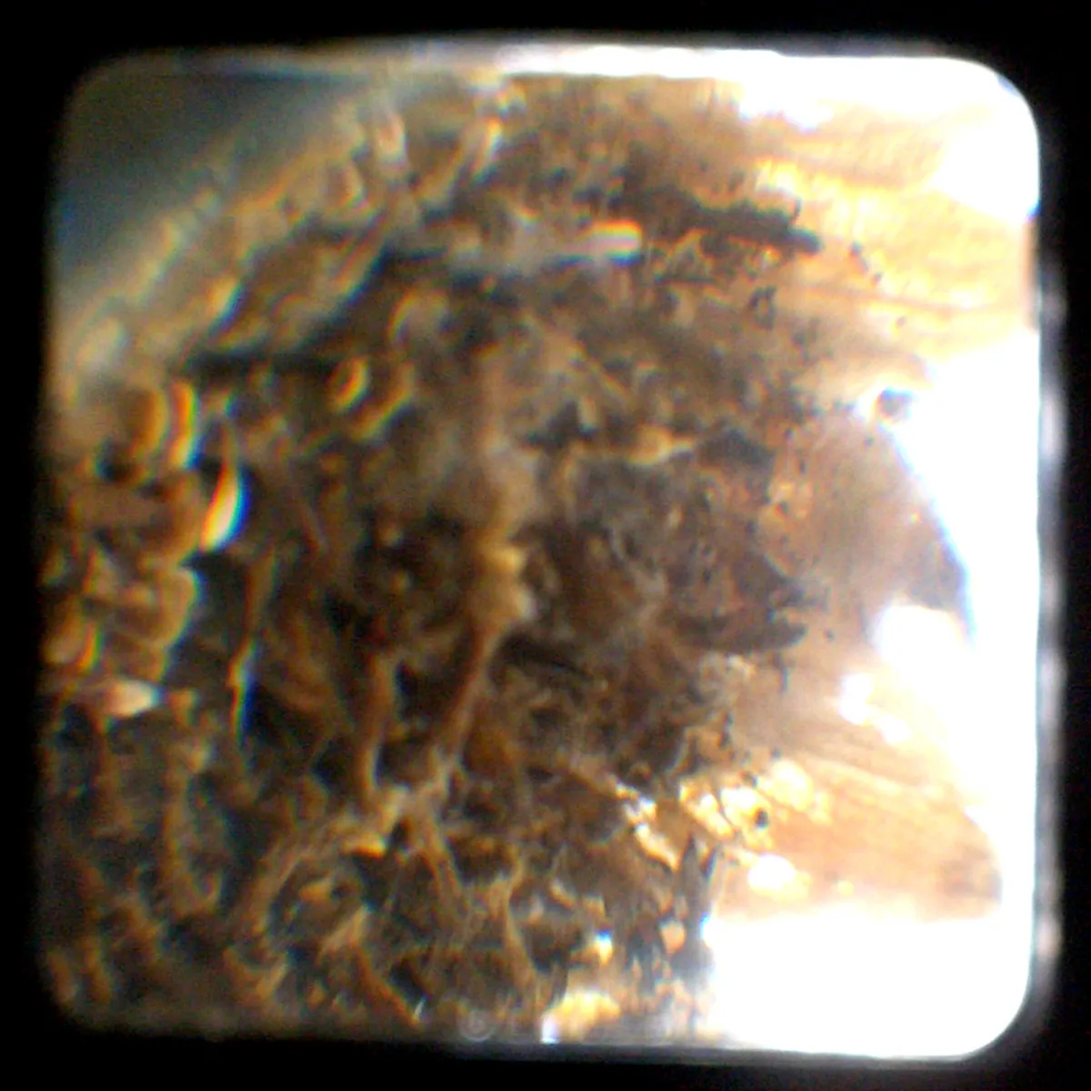 Graz Off-the-Beaten-Path Itinerary 2025: Hidden Gems