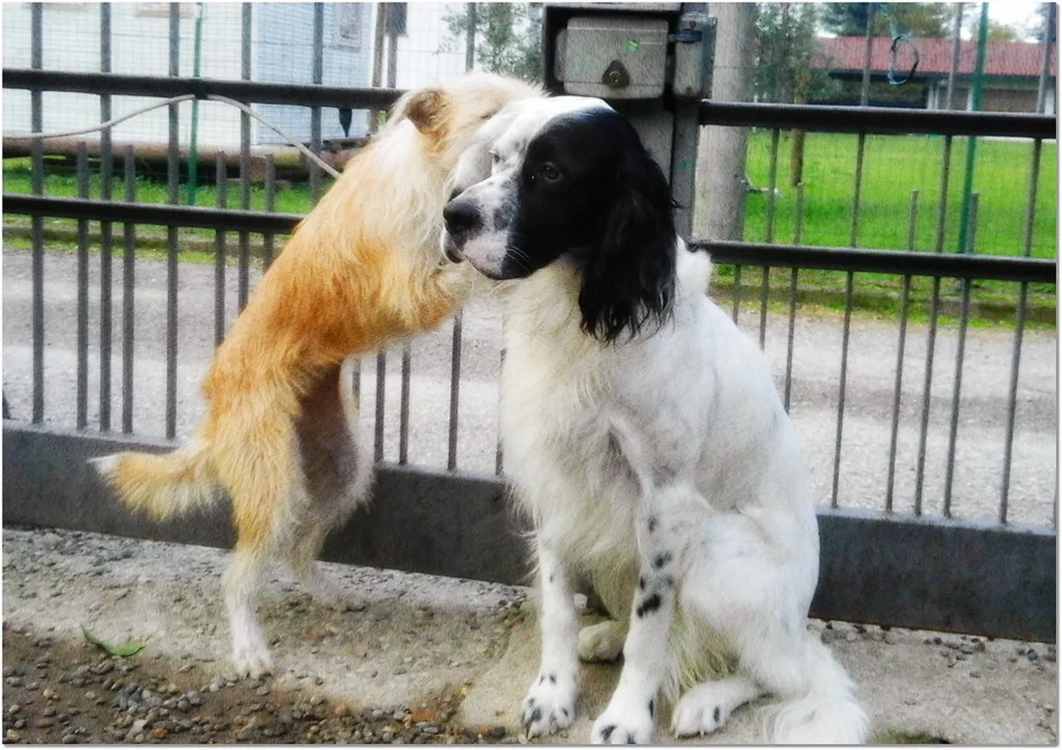 Discover Graz's Secret Viewpoints for Amazing Views