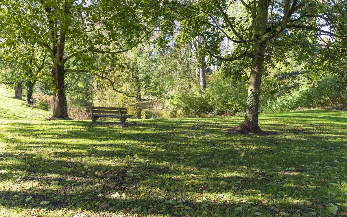 Groningen's Hidden Markets: Your 2025 Local Guide